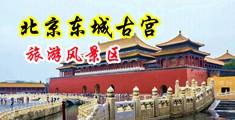 妹妹喷水白浆高湖中国北京-东城古宫旅游风景区
